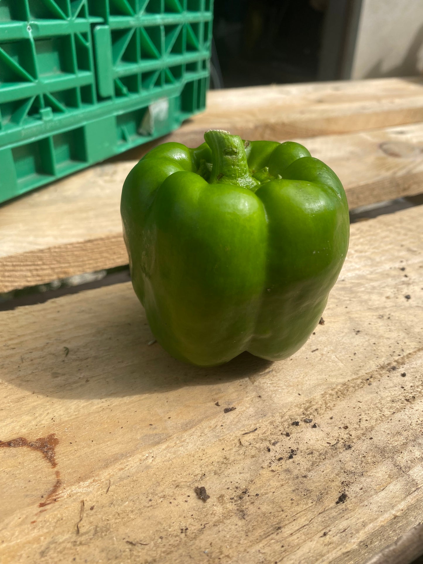Poivrons vert 400g