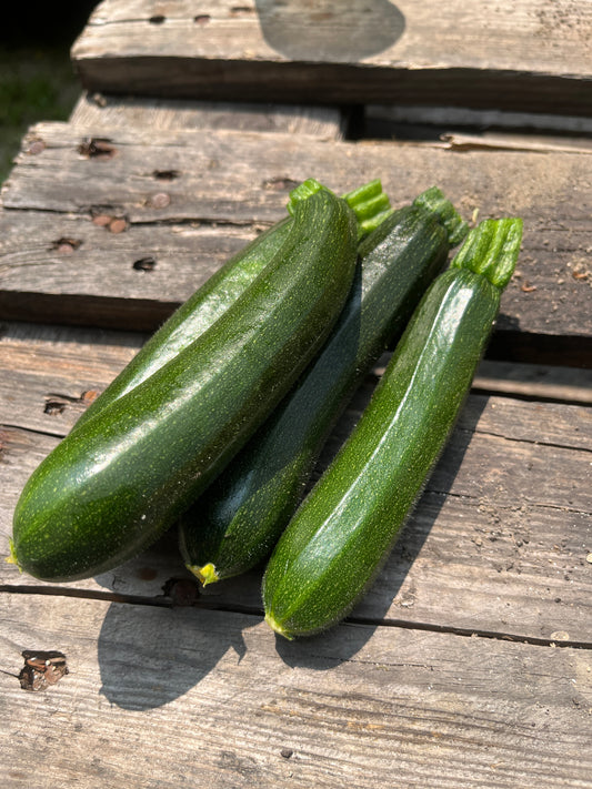 Courgettes bio 500g